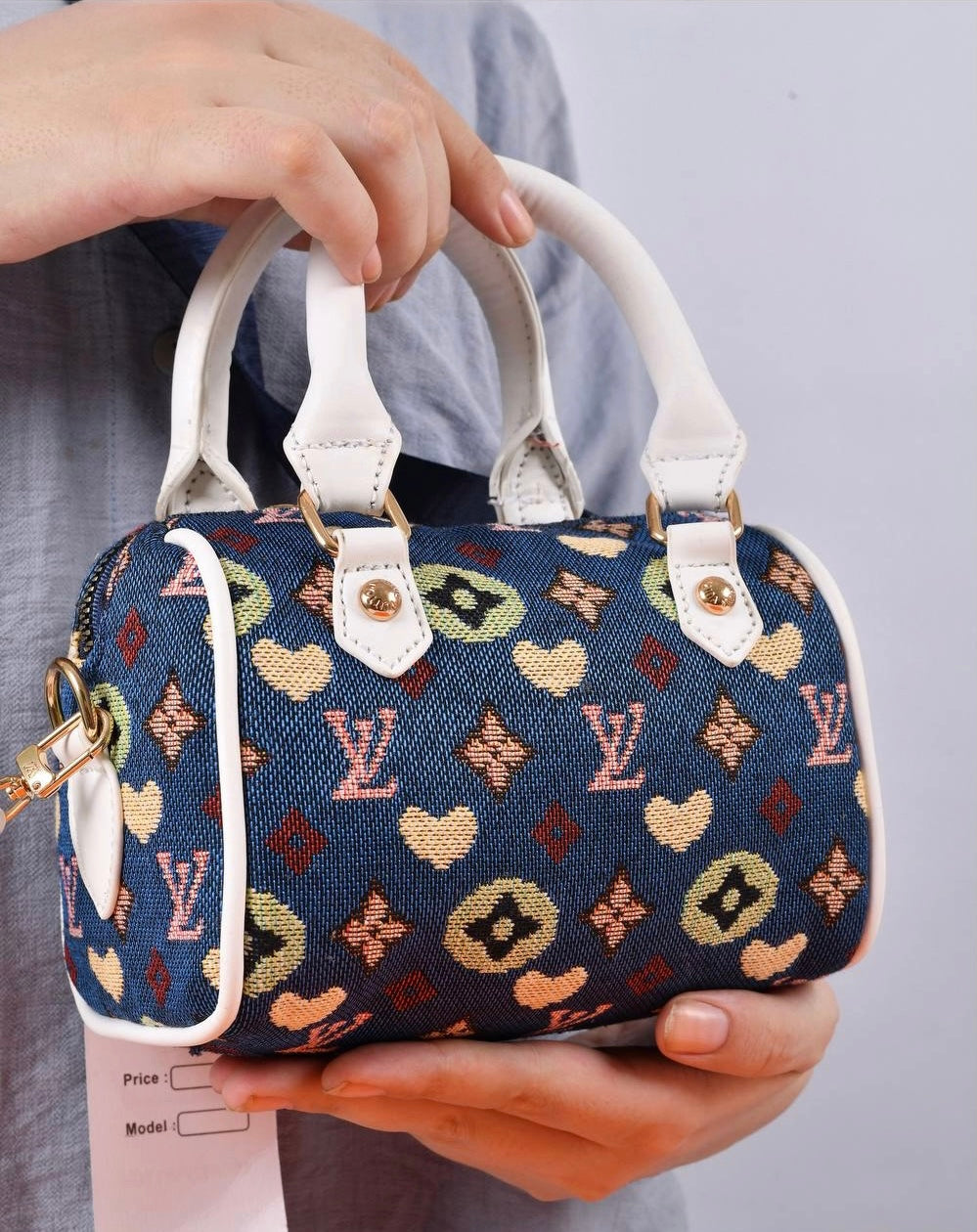 LV Speedy Bag